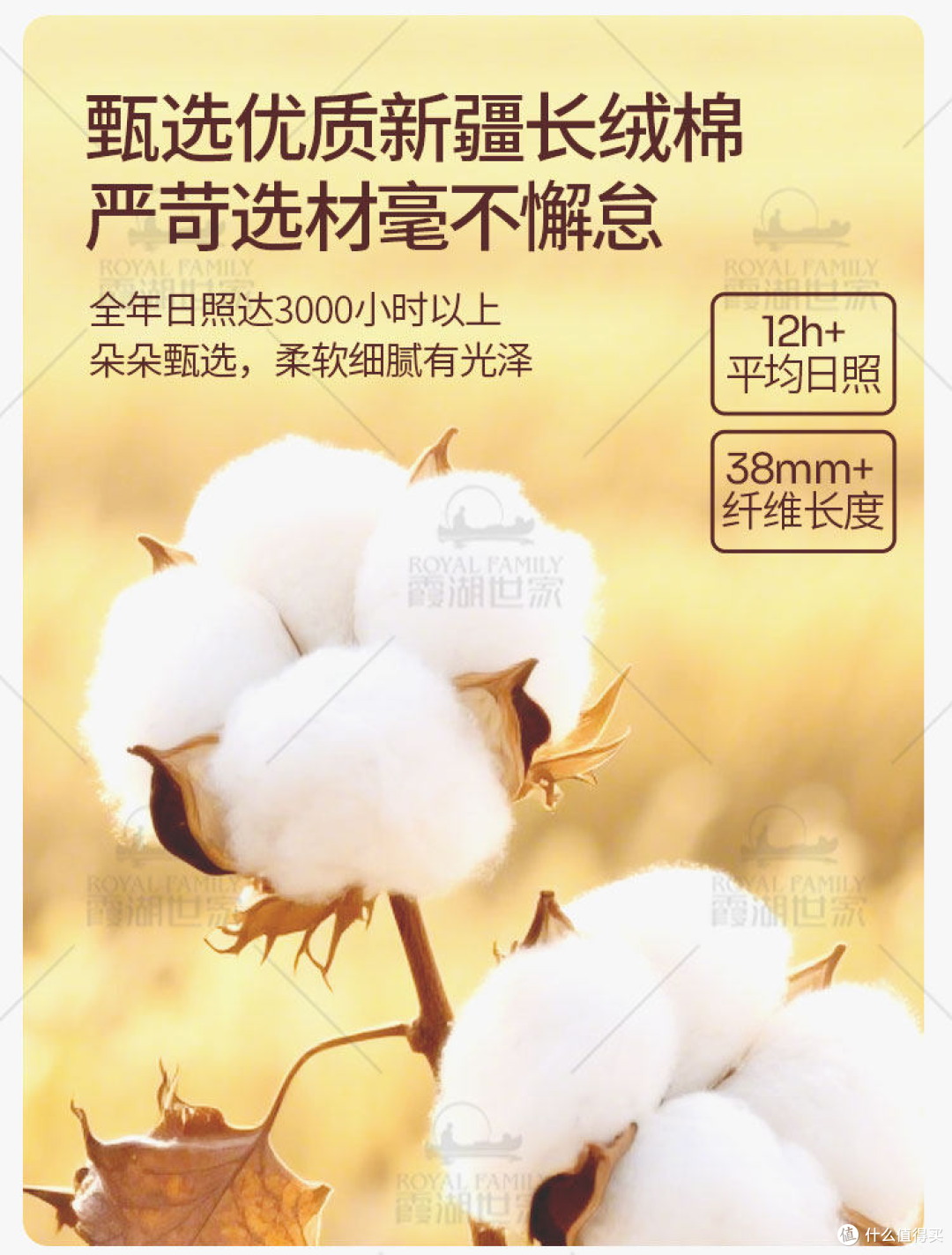 德绒加持!霞湖世家 秋半高领打底衫,暖而不臃的秋冬万能内搭