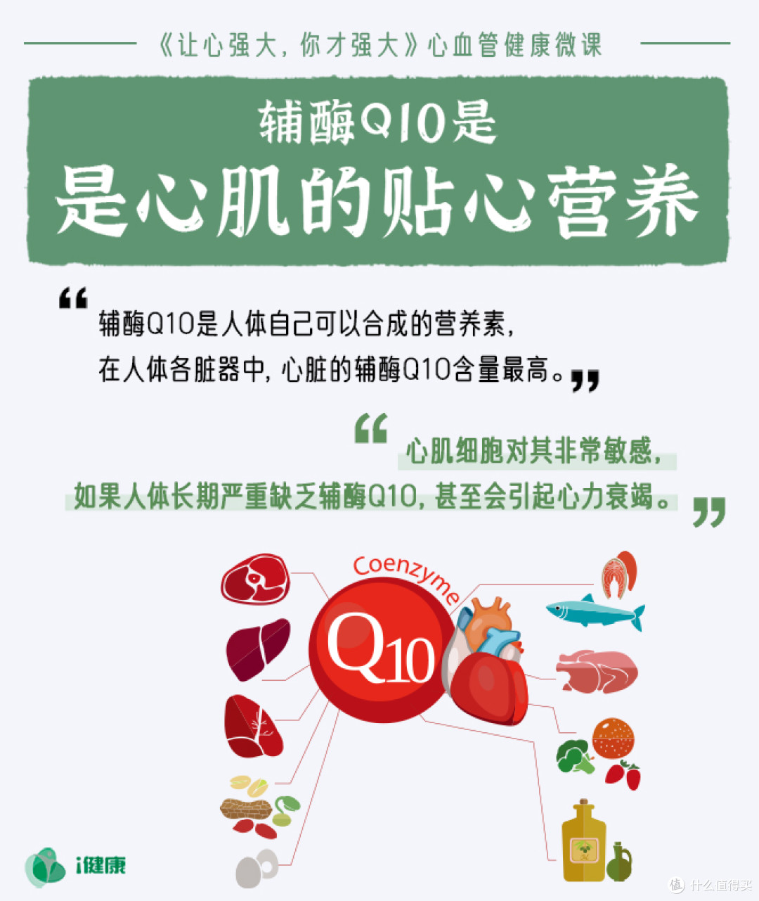辅酶Q10哪个牌子好?2026年高活性品牌推荐与科学选购指南