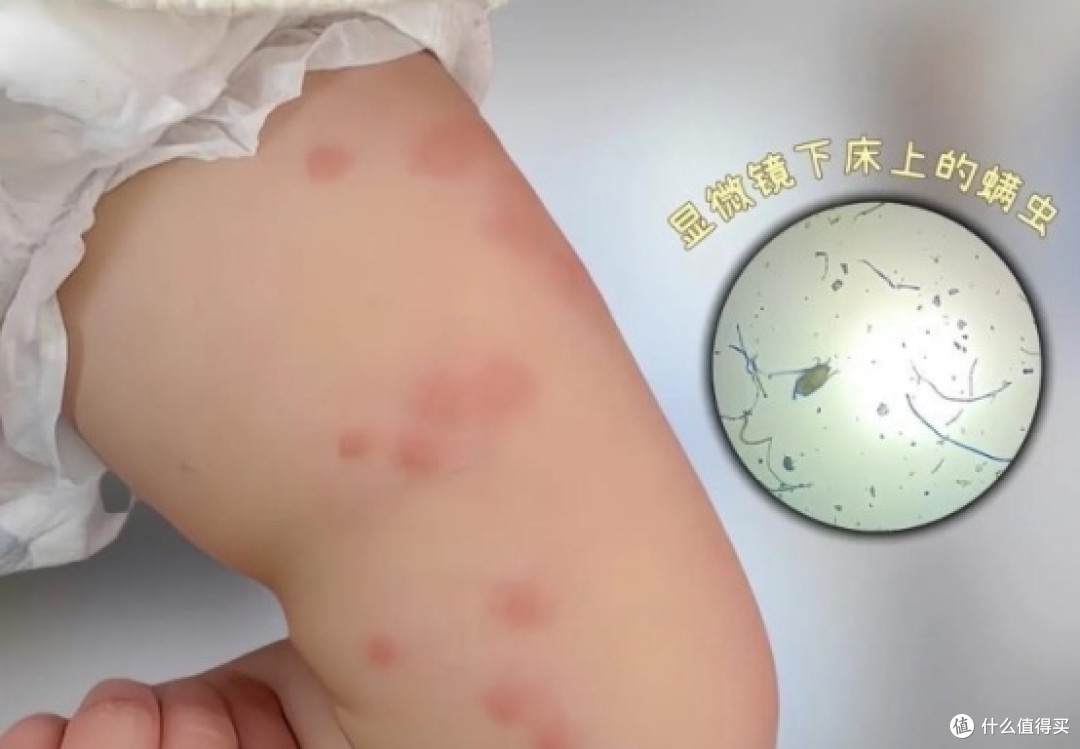 除螨仪哪个型号性价比最高?希亦VS友望除螨仪深度对比评测