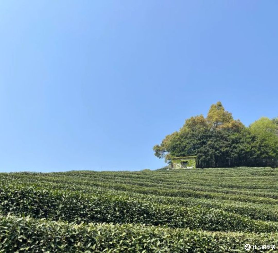 不用远游，杭州九溪烟树就有 “小九寨” 的清绝