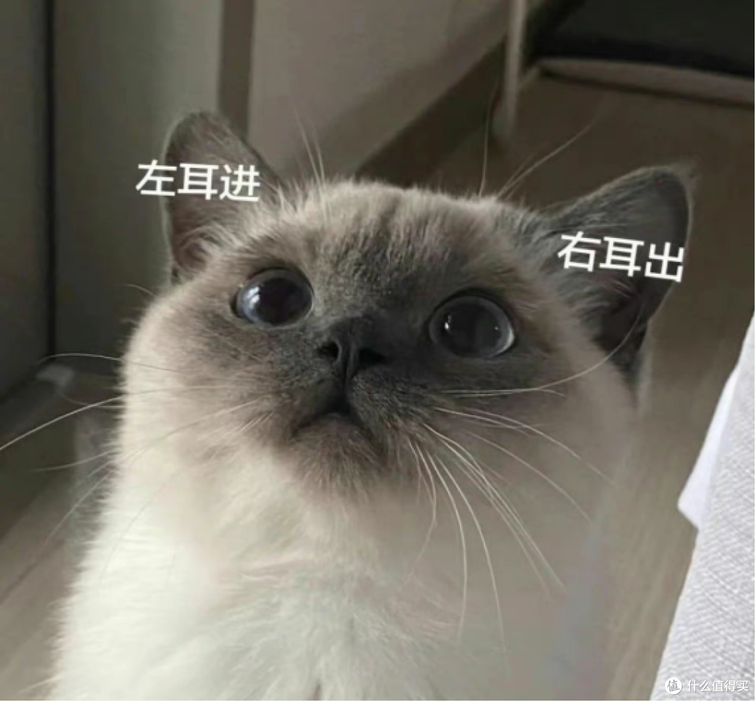 猫罐头哪个牌子好吃又便宜？希喂白小罐为啥这么受欢迎？