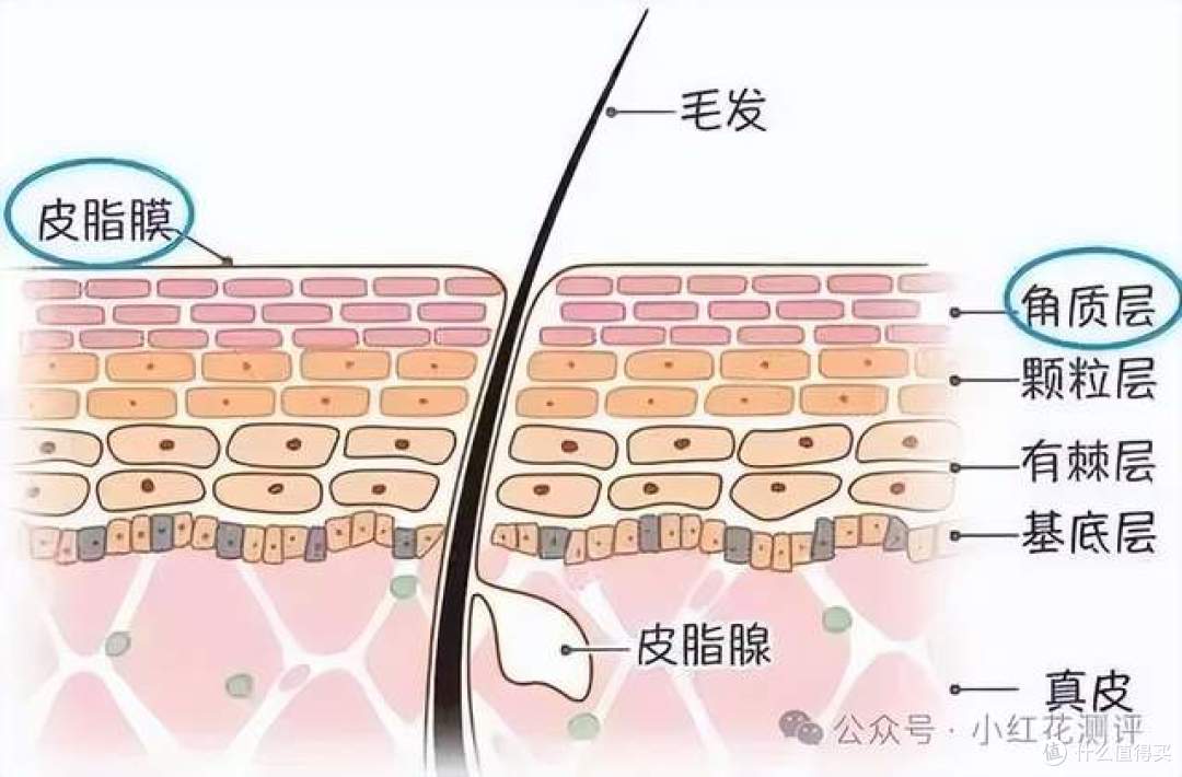 冬夜越睡越干痒?上海市消保委检测发现,床上竟有「隐形烘干机」