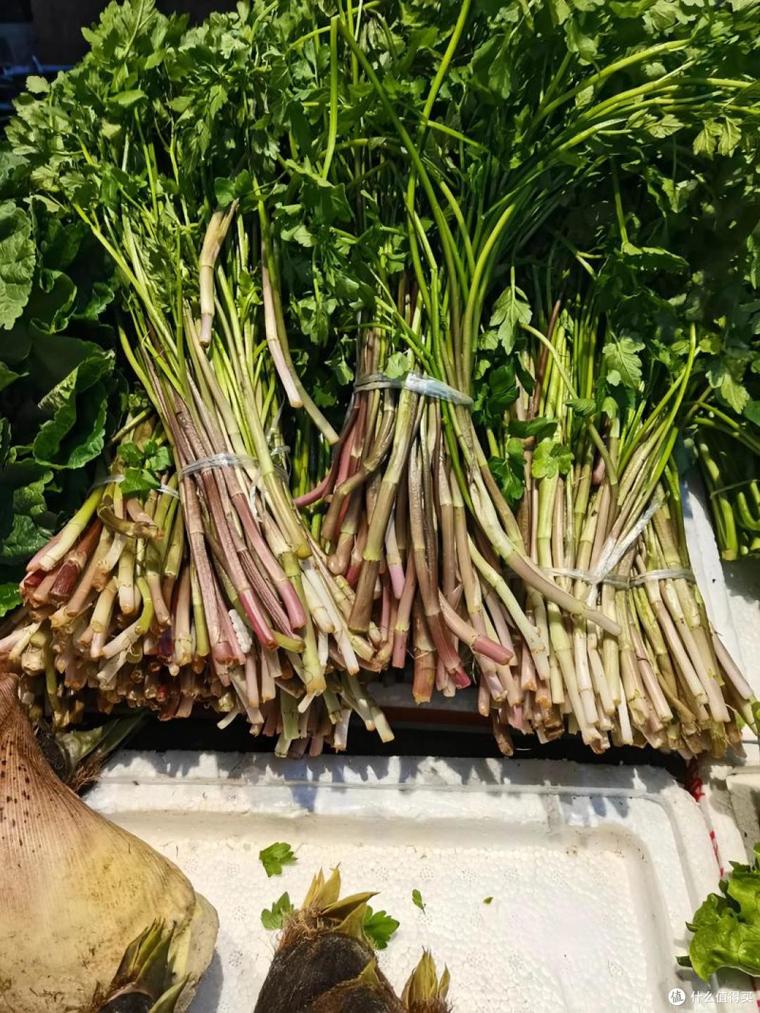 春天吃啥应季“野菜”?试试这10样,营养高口感好,错过再等一年