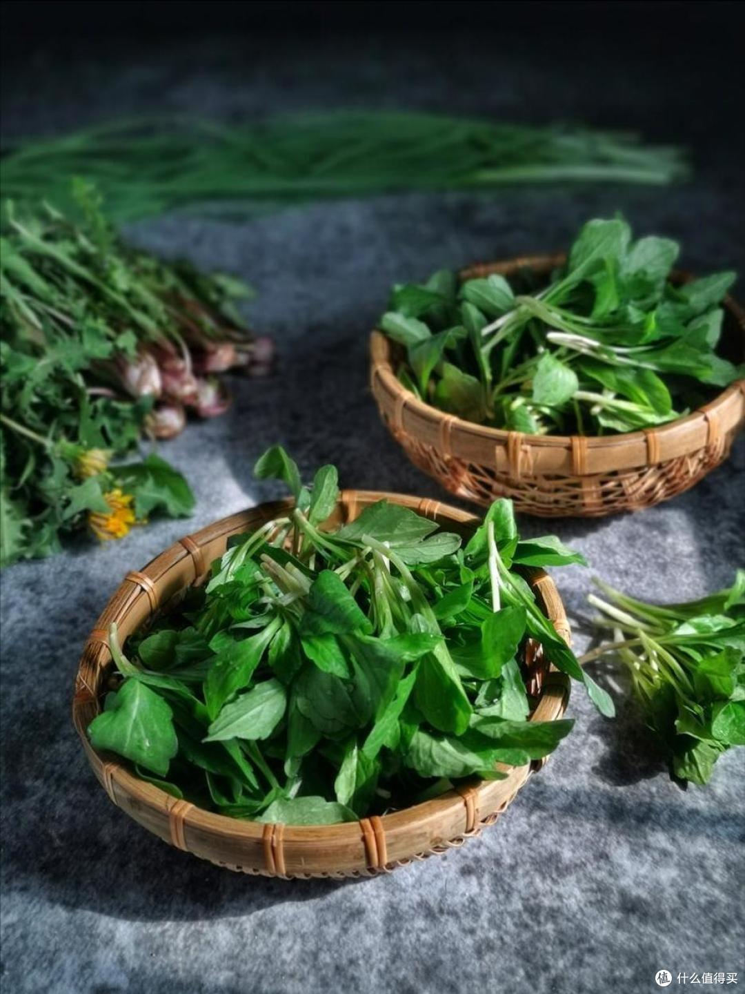 春天吃啥应季“野菜”?试试这10样,营养高口感好,错过再等一年