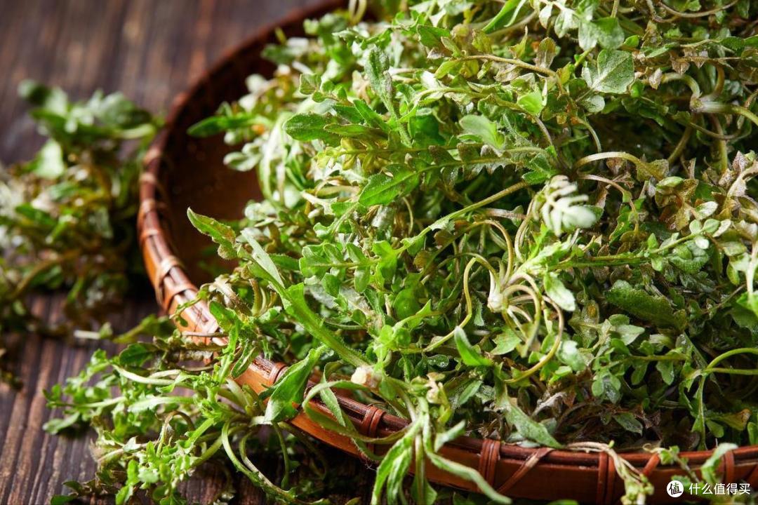 春天吃啥应季“野菜”?试试这10样,营养高口感好,错过再等一年