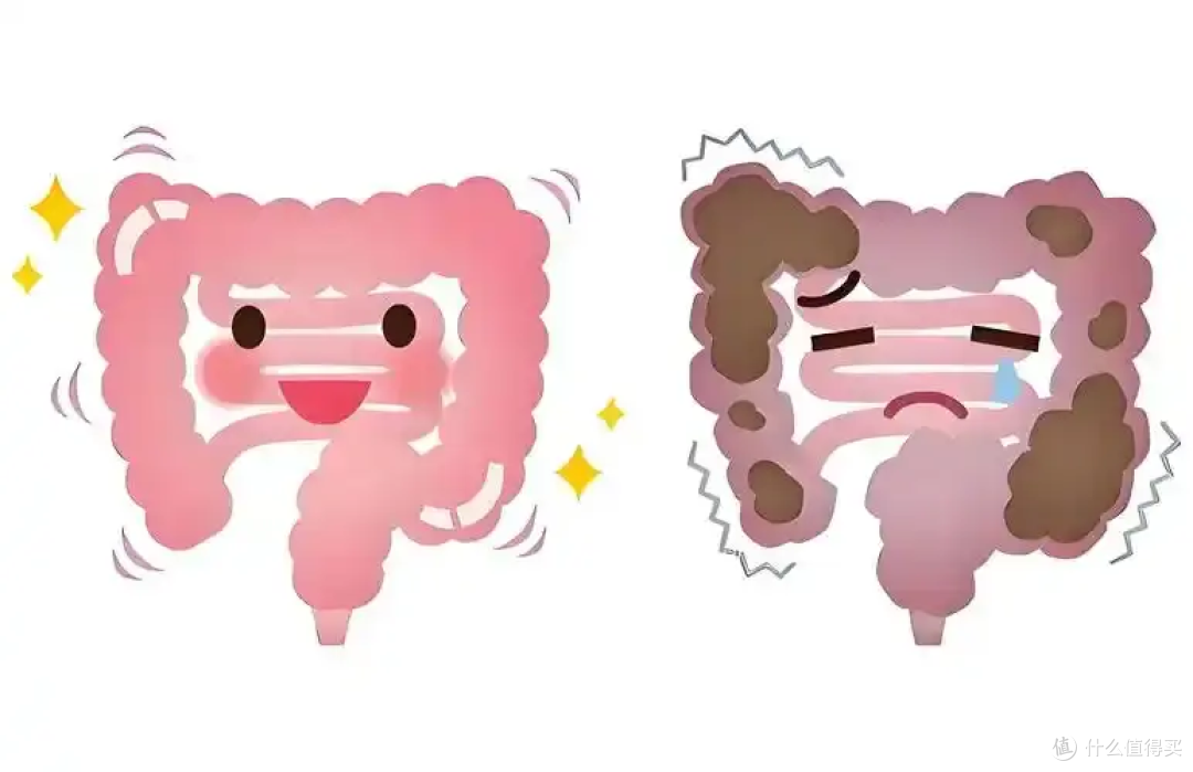便便越臭身体越差?一张图看懂你的肠道健康!