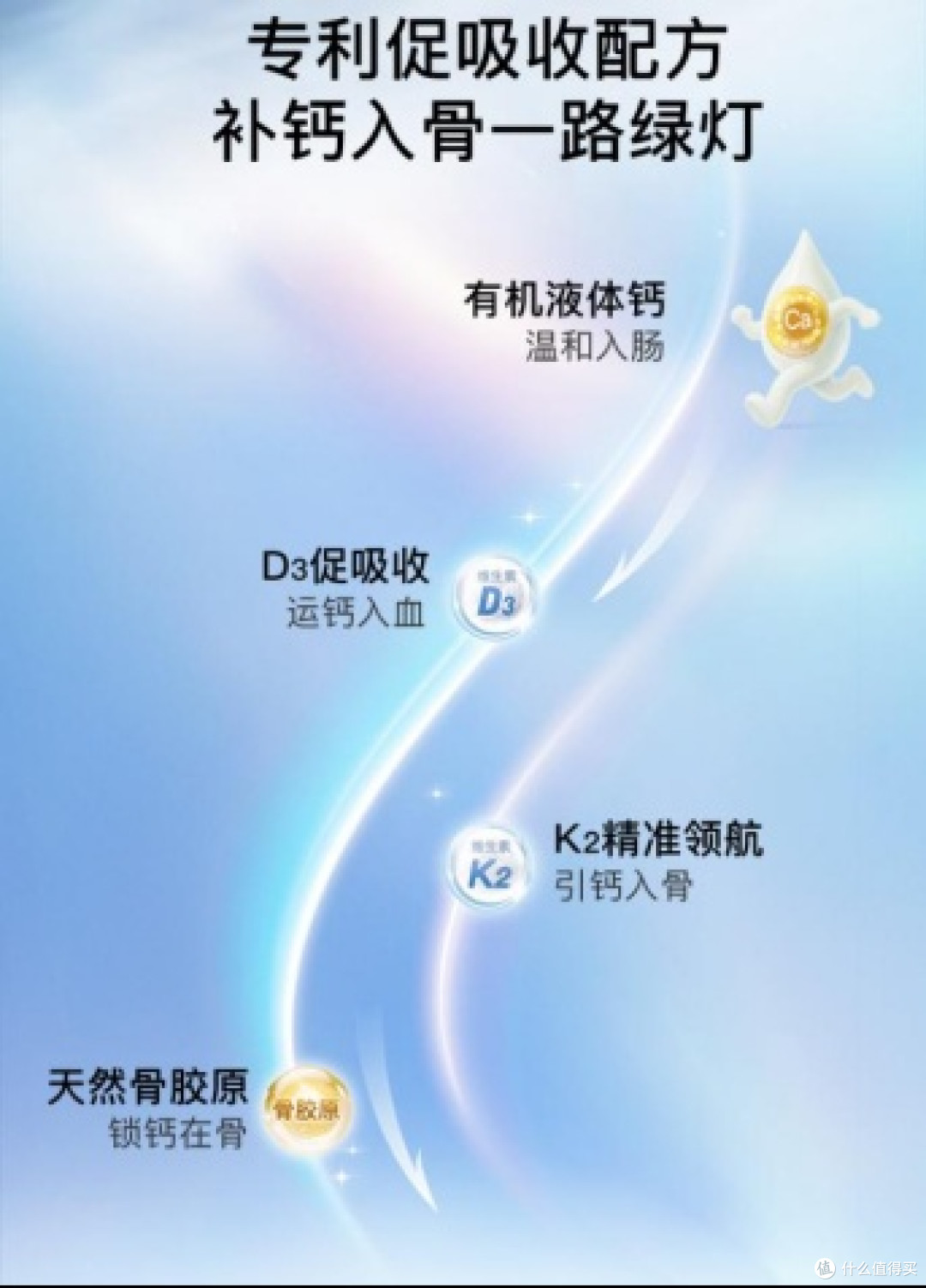 2026成人补钙推荐哪个品牌？选对品牌=成功一半！告别无效补钙

