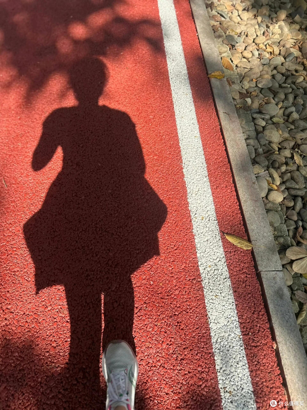 从久坐废柴到活力四射:我的运动蜕变