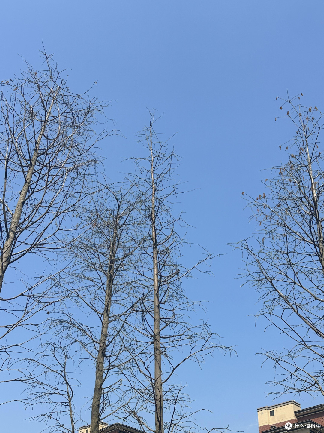 运动六年：从亚健康到活力焕发