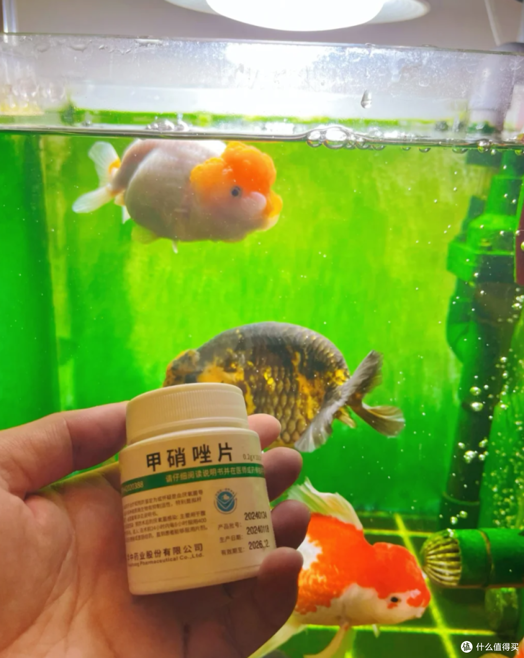 2块钱一瓶的维C太“可怕”!轻松解决生活大麻烦,用对能省上千块