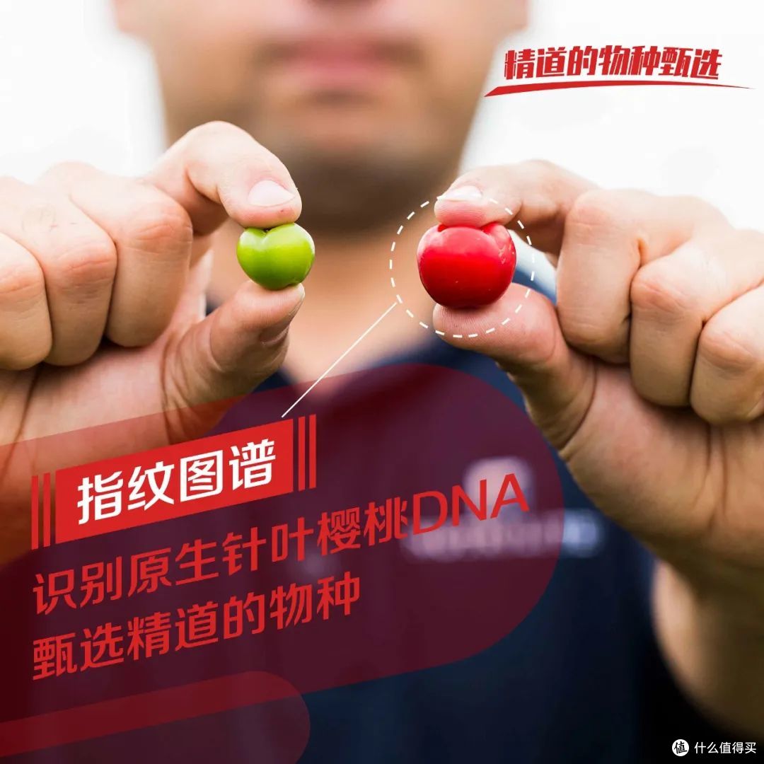天然维生素C选购攻略|选对不踩坑,温和补维C更安心