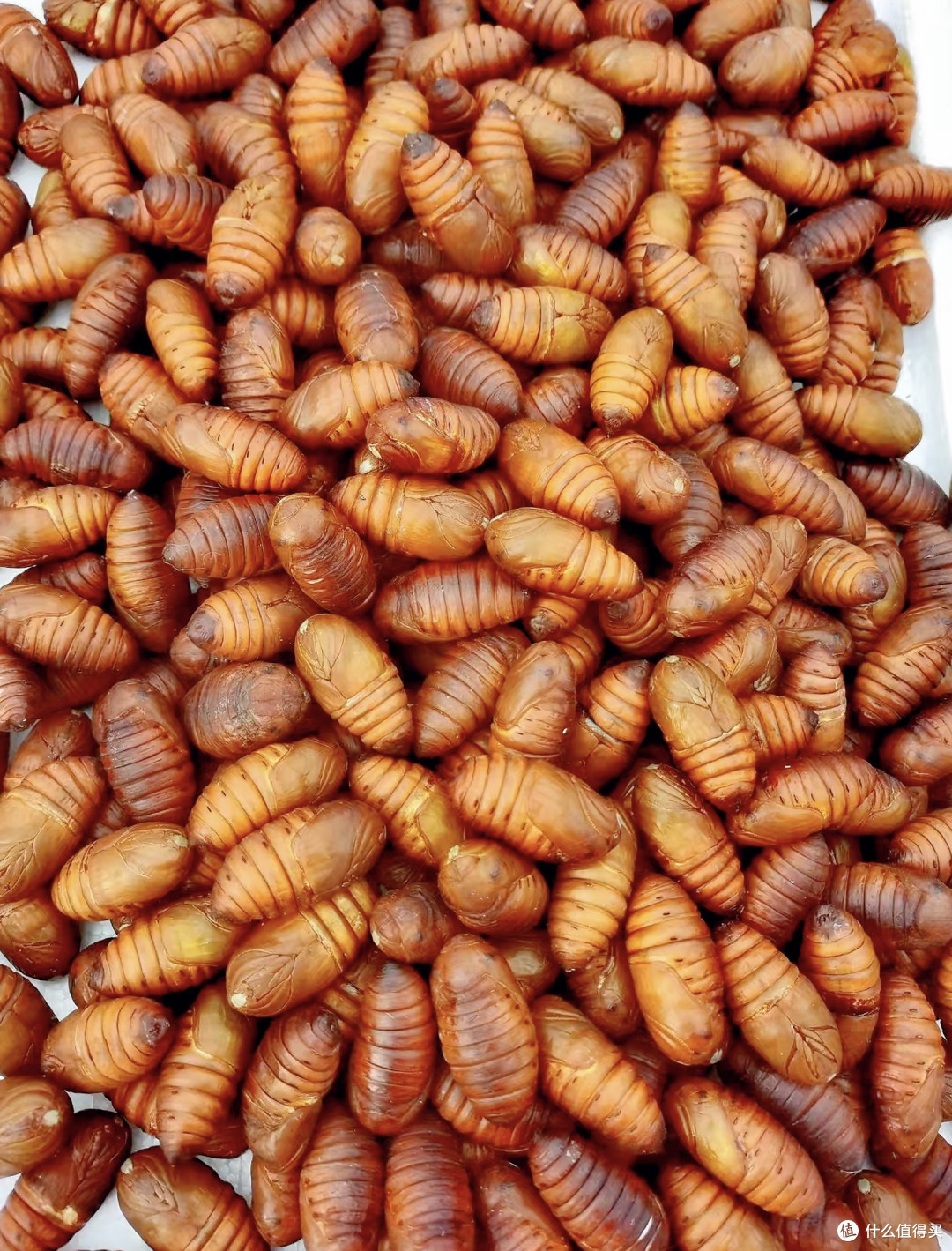 团圆年味食烟火:逛趟菜市场,把“年味”揣满兜!
