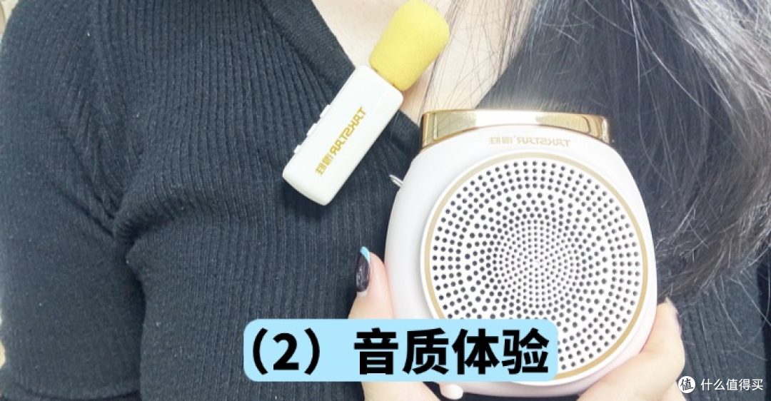 百元价位小蜜蜂哪个好?西圣、易相随、得胜扩音器硬核测评对比