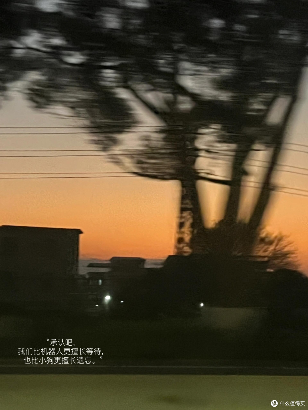 从抗拒到热爱:我的运动蜕变