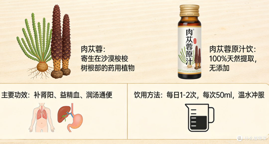 时不对,效减半,想知道肉苁蓉哪个季节的好?2026十大排名给你!