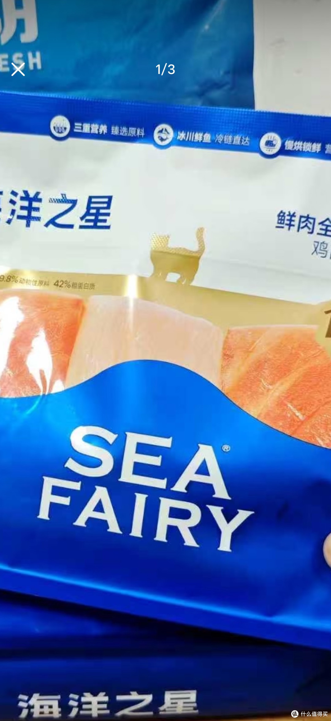 春季猫粮选择要点