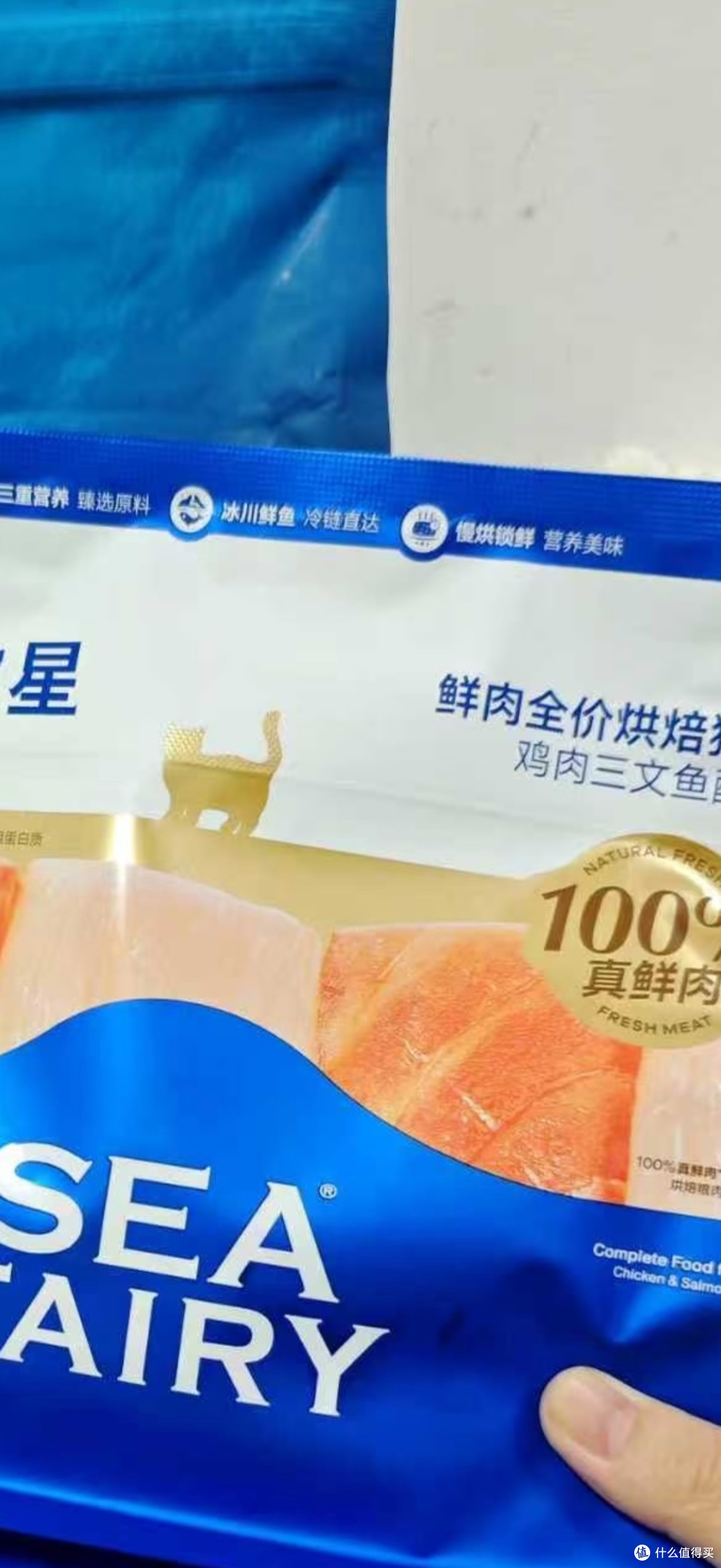 春季猫粮选择要点