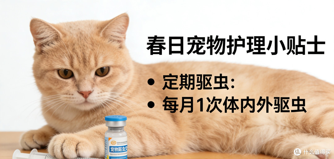 春日宠物护理小贴士:温柔守护,安心迎春