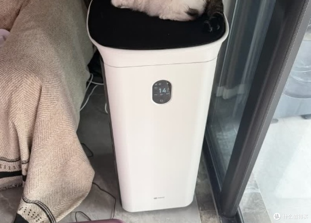 宠物净化器哪个牌子好?十大机型排名测评对比,差别竟有这么大!
