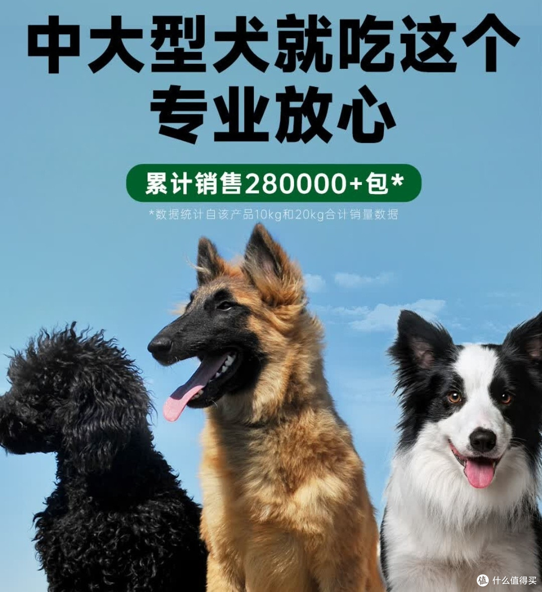 春季遛狗训练换毛季适用粮
