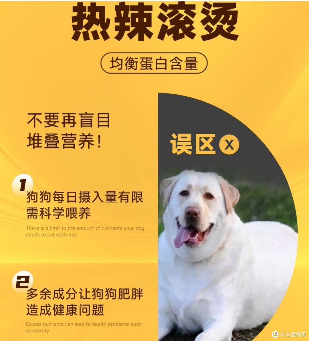 春季遛狗训练换毛季适用粮