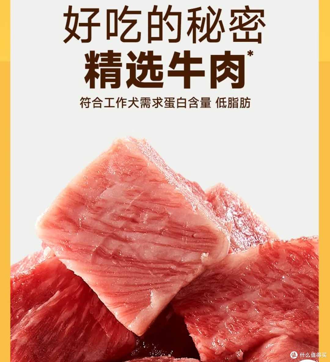 春季遛狗训练换毛季适用粮