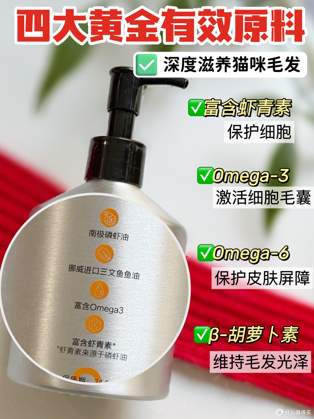 春日宠物护肤与防过敏策略