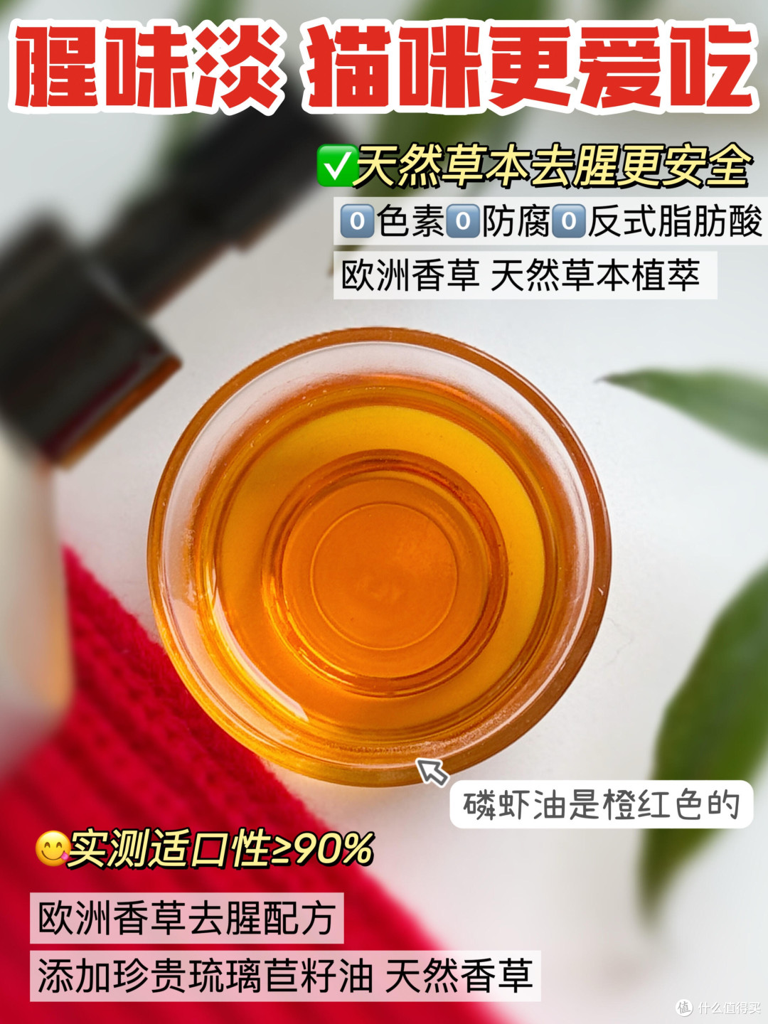 春日宠物护肤与防过敏策略