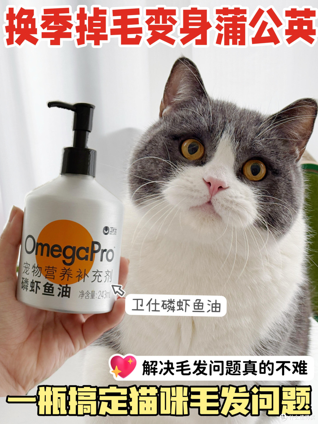 春日宠物护肤与防过敏策略
