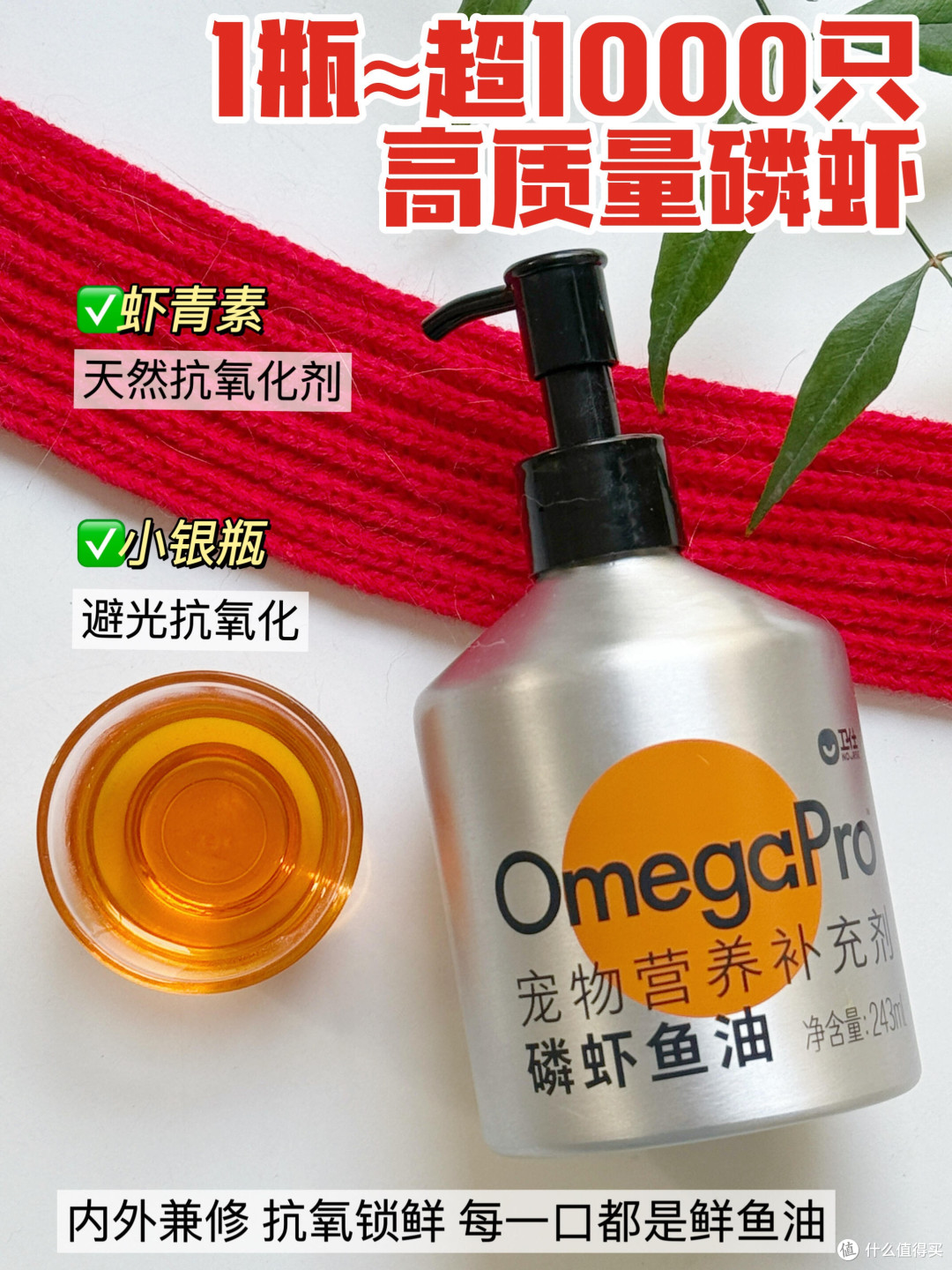 春日宠物护肤与防过敏策略