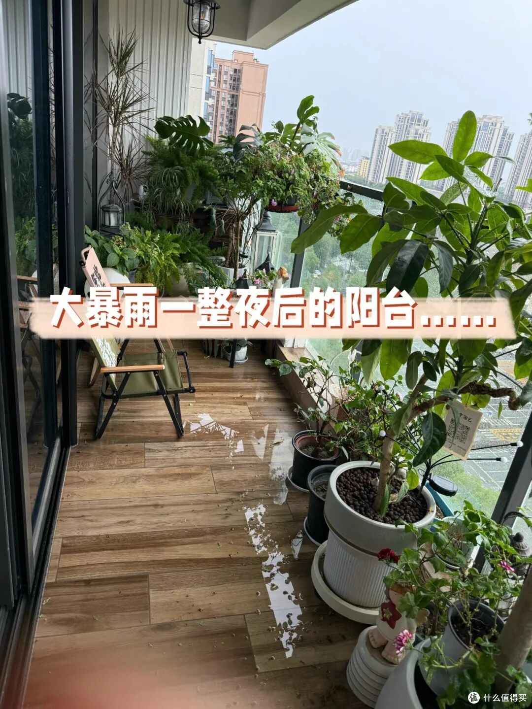 不听劝,我坚持开放式阳台,现在入住两年,发现不封阳台太爽了!