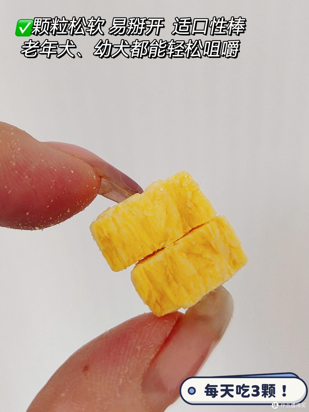 春日宠物护肤全攻略