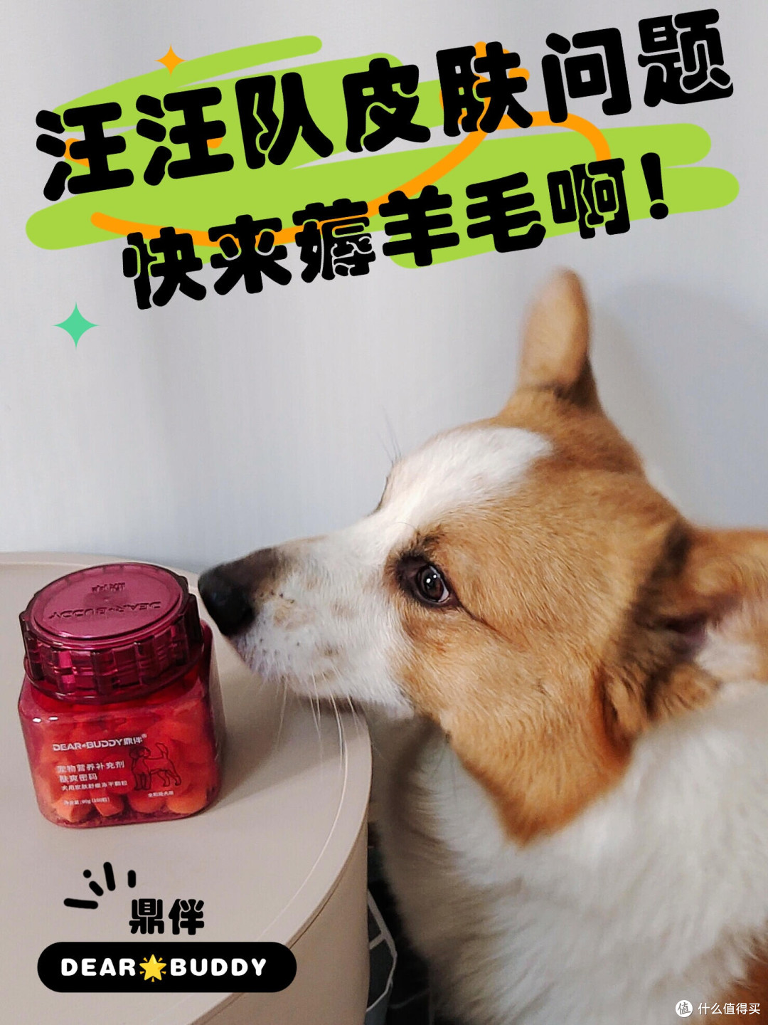 春日宠物护肤全攻略