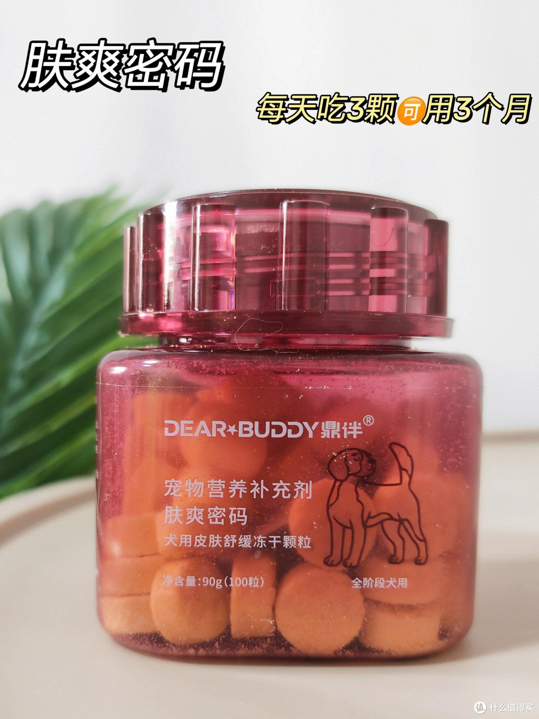 春日宠物护肤全攻略