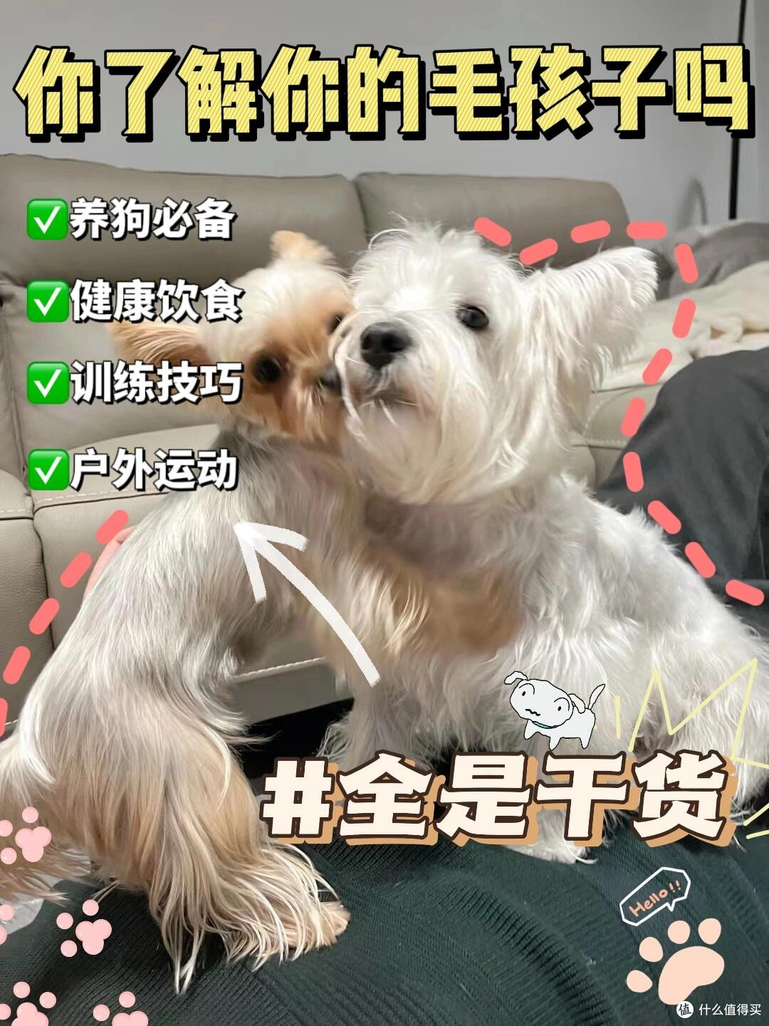春日宠物护肤全攻略