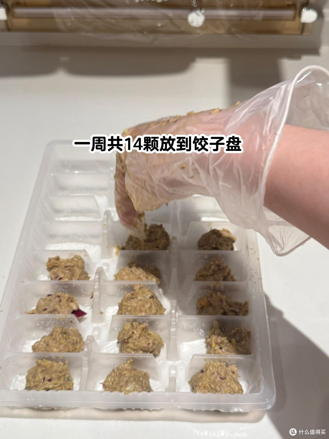 春日宠物护肤全攻略
