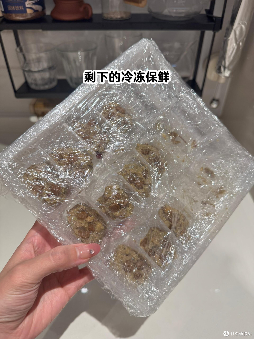 春日宠物护肤全攻略