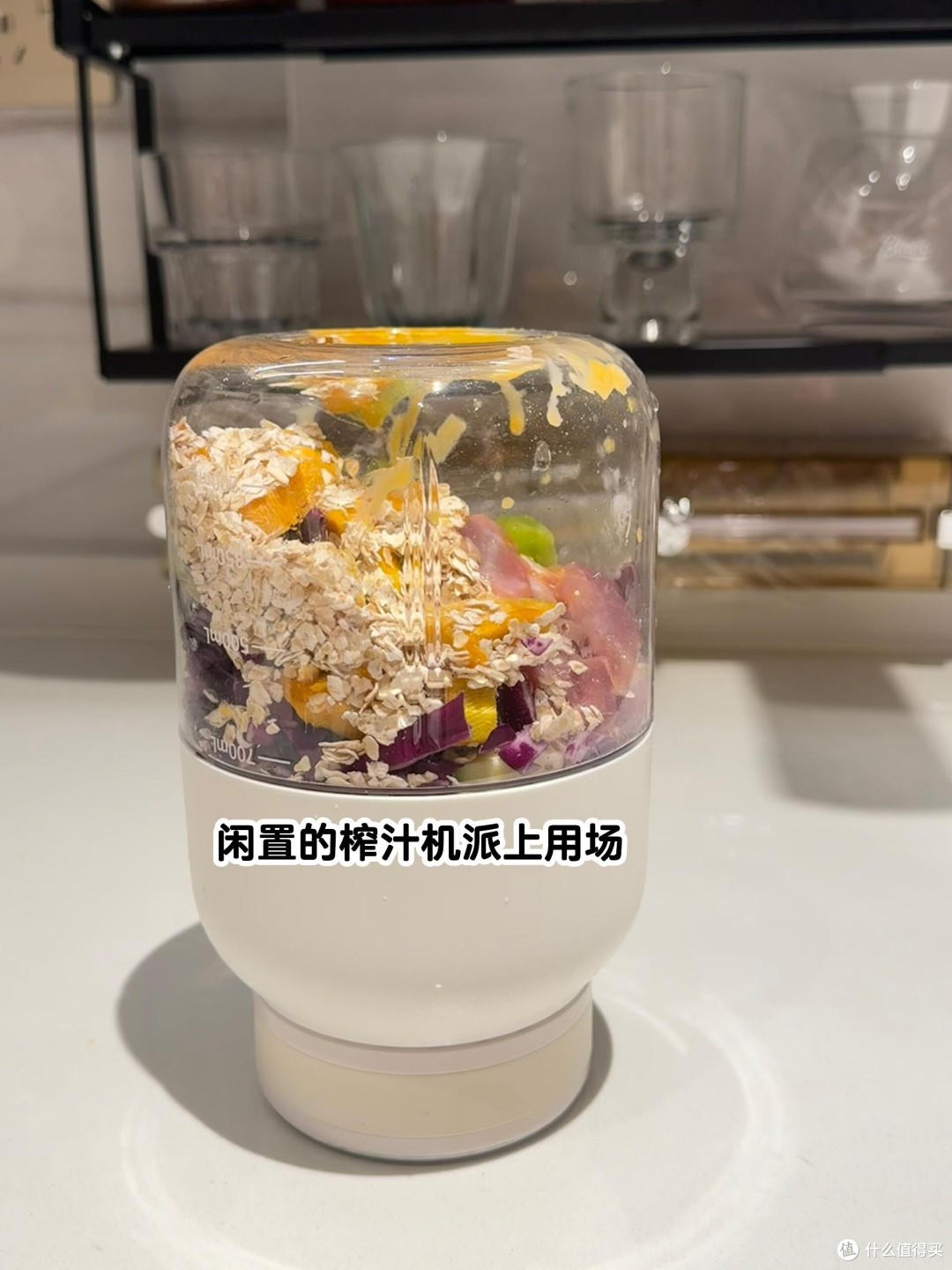 春日宠物护肤全攻略