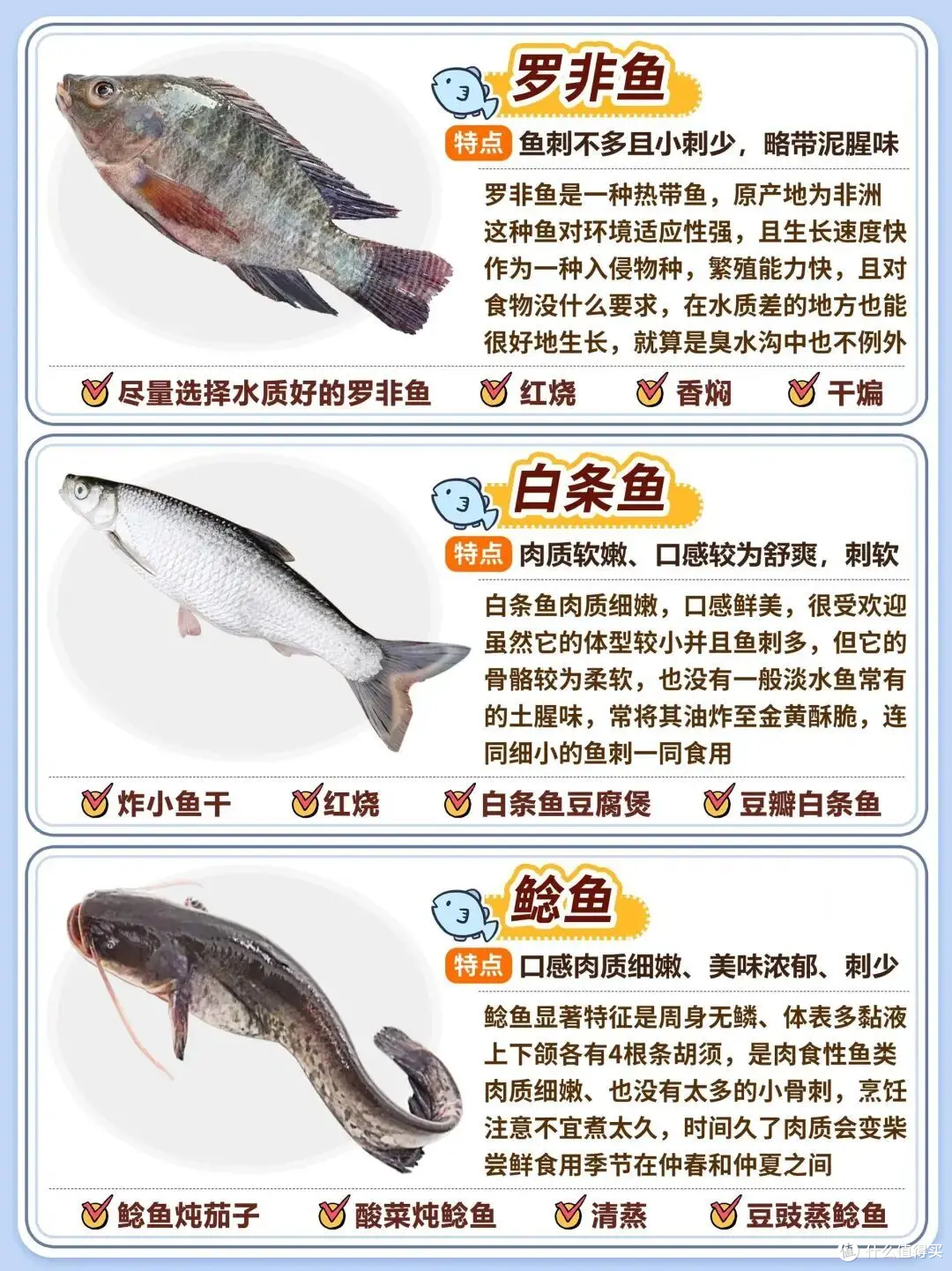 20种常见淡水鱼|口感、刺多少+家常做法全攻略