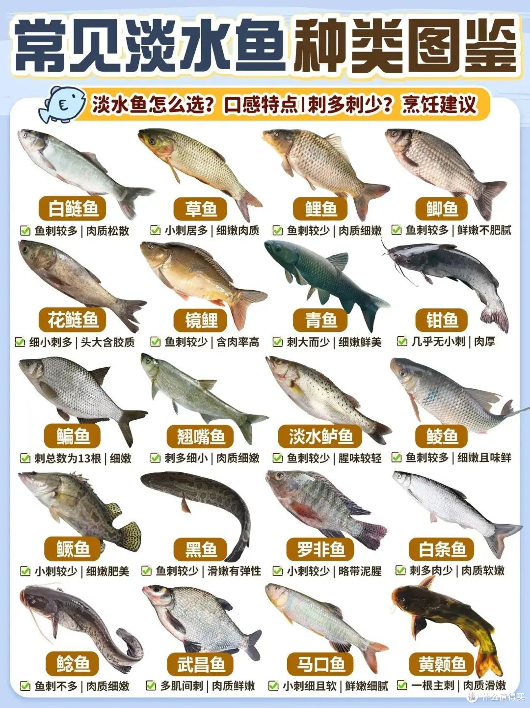 20种常见淡水鱼|口感、刺多少+家常做法全攻略