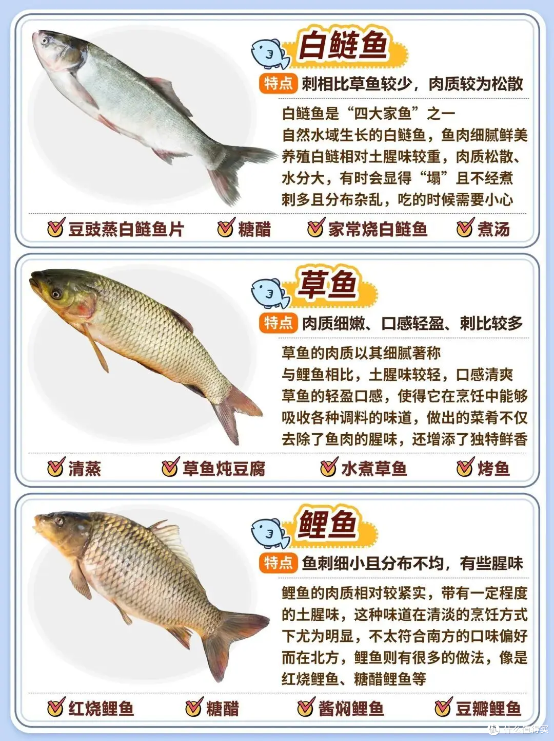 20种常见淡水鱼|口感、刺多少+家常做法全攻略