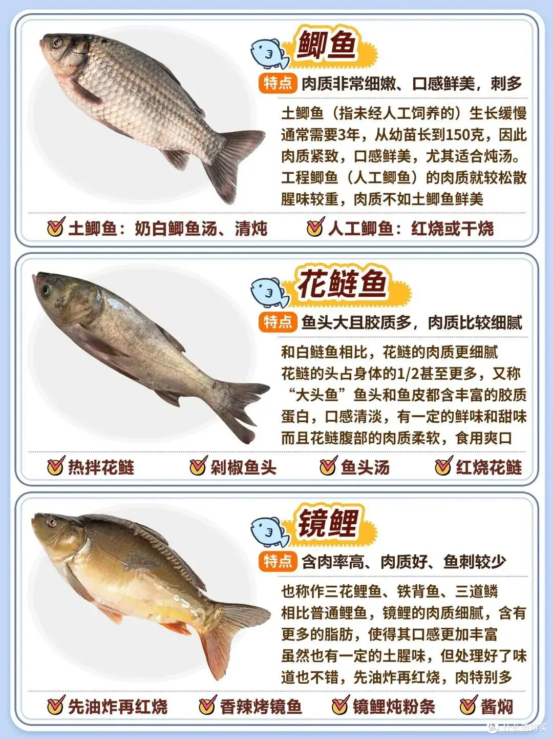 20种常见淡水鱼|口感、刺多少+家常做法全攻略