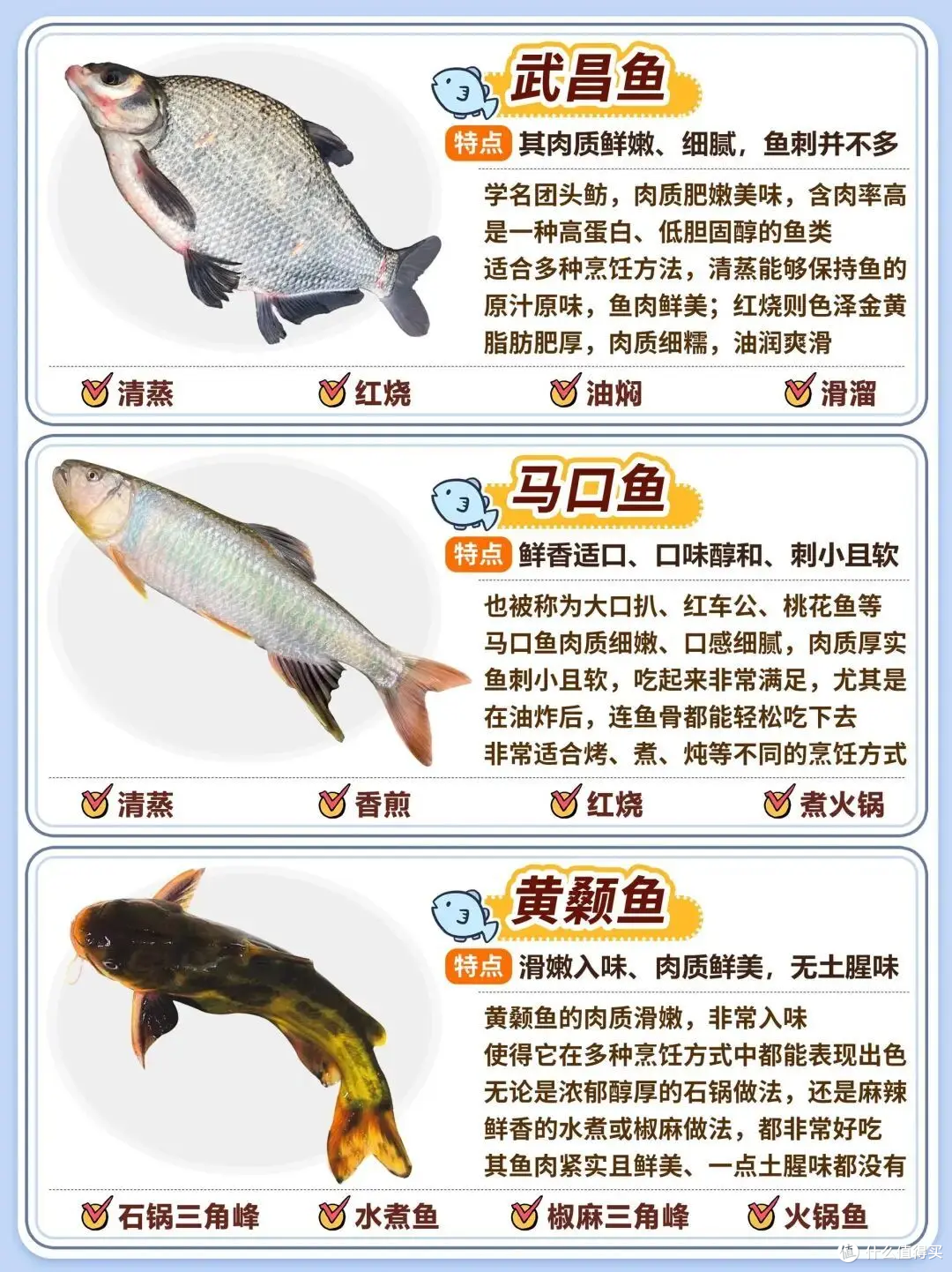 20种常见淡水鱼|口感、刺多少+家常做法全攻略