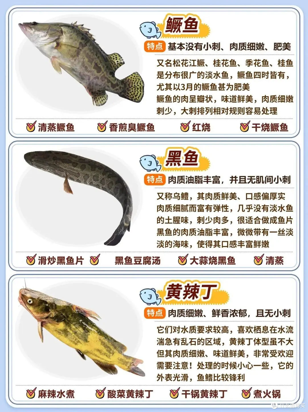 20种常见淡水鱼|口感、刺多少+家常做法全攻略