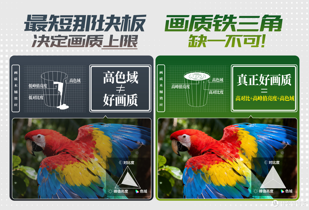 都说画质看“铁三角”,TCL Q10M这波算是把三个角都拉满了