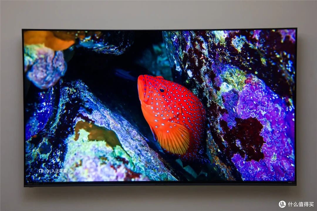 RGB-Mini LED电视海信 E8S深度体验:让好画质人人都能享受!