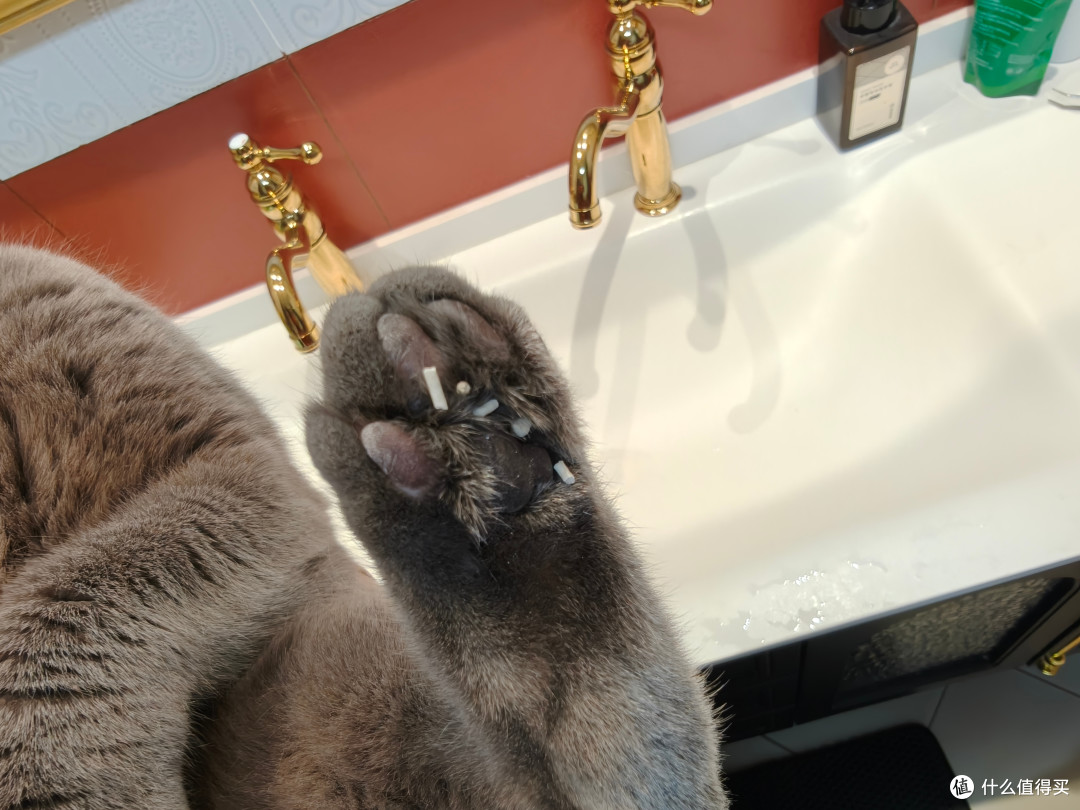 （脚趾甲缝里面都是猫砂）