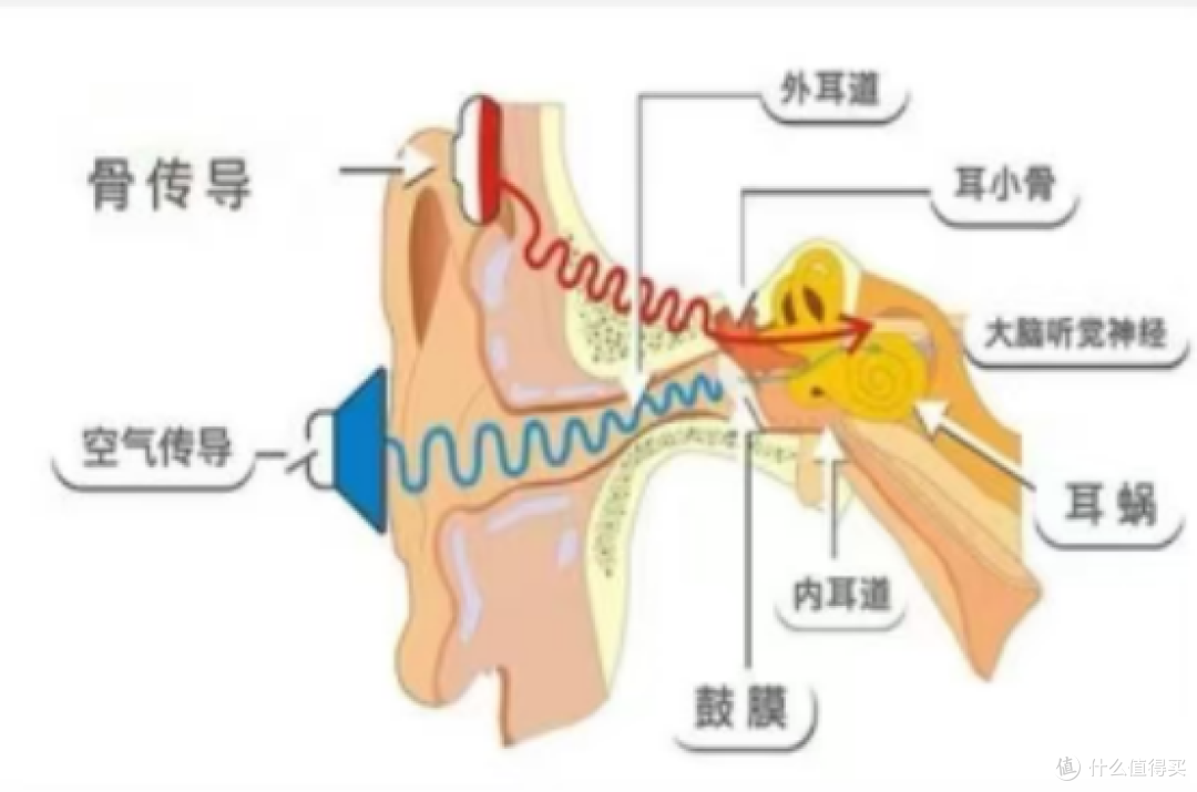 开放式耳机有哪些优缺点?2026高性价比耳夹式耳机推荐