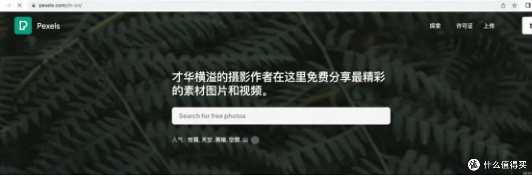 视频剪辑软件怎么选？这10款够用又不折腾
