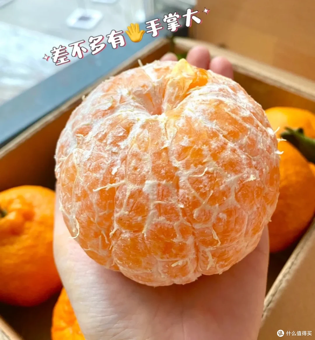 买!3月这些水果夯爆了